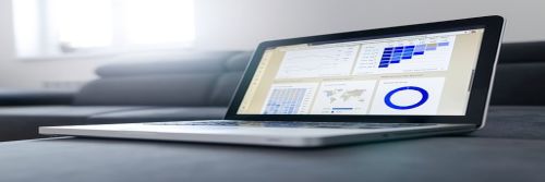 Project Management Software